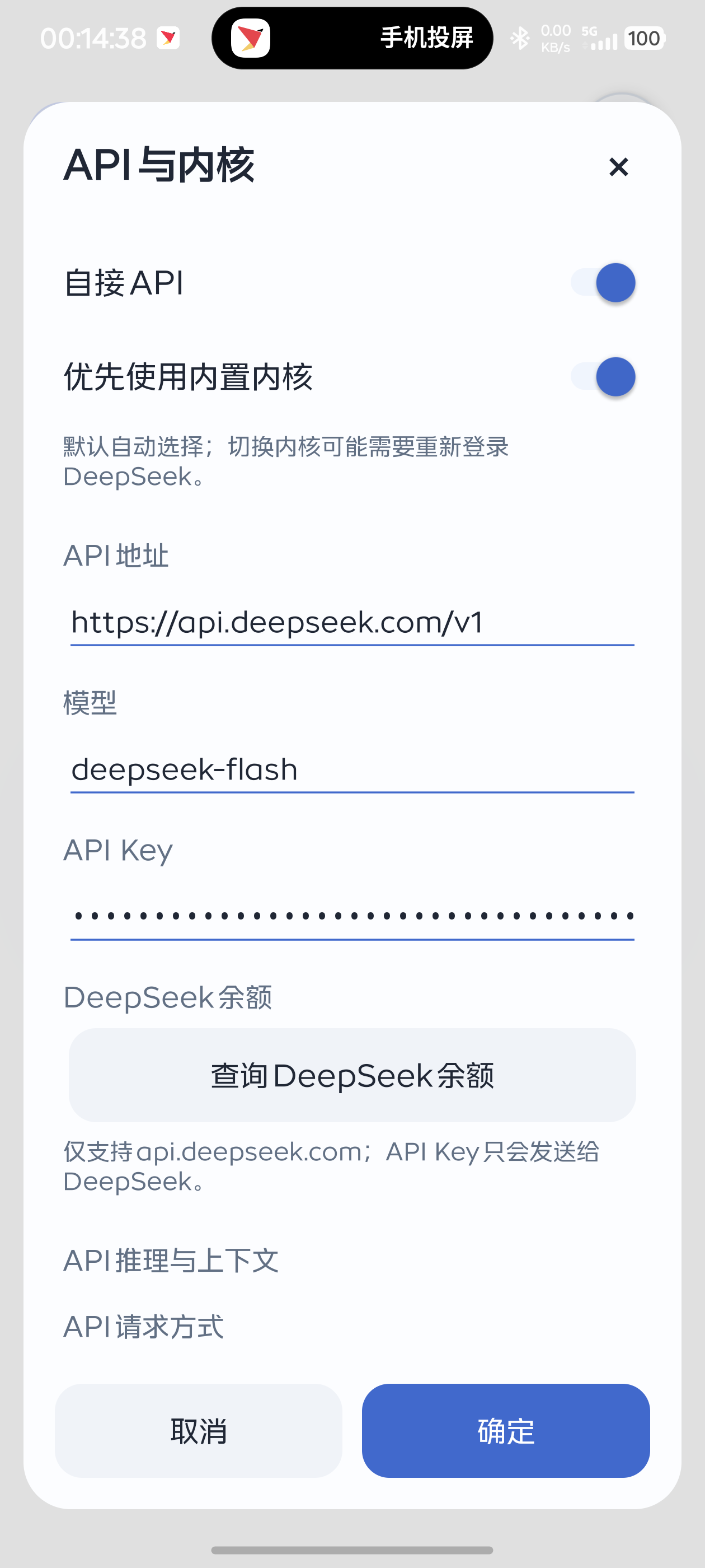 真实 API 设置界面：自接 API、模型、隐藏的 API Key 与余额查询